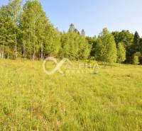 EXKLUZÍVNE stavebný pozemok, Nálepkovo časť Tretí Hámor, okres Gelnica - Trávnatý pozemok obklopený stromami na výstavbu bývania v Nálepkove, Tretí Hámor.