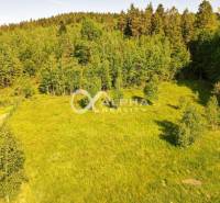 EXKLUZÍVNE stavebný pozemok, Nálepkovo časť Tretí Hámor, okres Gelnica - Zelené lesy a lúky na pozemkoch pre bývanie pri Nálepkove a Tretí Hámor.