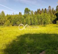 EXKLUZÍVNE stavebný pozemok, Nálepkovo časť Tretí Hámor, okres Gelnica - Zeleň a stromová línia na pozemkoch pre bývanie na ulici Tretí Hámor v Nálepkove.