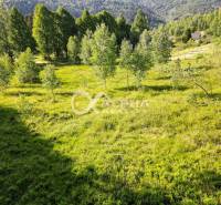 EXKLUZÍVNE stavebný pozemok, Nálepkovo časť Tretí Hámor, okres Gelnica - Pozemky - bývanie na Tretom Hámre v Nálepkove, zelená lúka obklopená stromami.