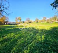 EXKLUZÍVNE stavebné pozemky, Spišské Podhradie - Zeleň a stromy na pozemku v Spišskom Podhradí vhodnom na bývanie.