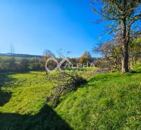 EXKLUZÍVNE stavebné pozemky, Spišské Podhradie - Zeleň a stromy vhodné pre pozemky na bývanie v Spišskom Podhradí.