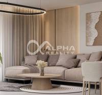 Exkluzívne novostavba rodinný dom - dvojdom, Spišské Podhradie - Obývačka s béžovou sedačkou, dekoratívnymi prvkami a stropným svietidlom v rodinnom dome.