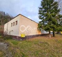 Budova s pozemkom, obec Helcmanovce, okres Gelnica - Budova v Helcmanovciach obklopená zeleňou, vedľa vysokého ihličnanu.