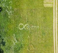 Pozemok 992m2, obec Betlanovce, okres Sp.N.Ves - Letecký pohľad na trávnaté pozemky na bývanie v Betlanovciach, so susedným domácim pozemkom.