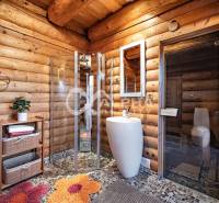 Zrubový rodinný dom, Veľká Lomnica - Kúpeľňa v rodinnom dome s drevom obloženými stenami, sprchou a saunou.