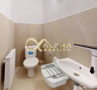 Polyfunkčný priestor na predaj, Zimná ul., Spišská Nová Ves - Kúpeľňa so záchodom, bielym umývadlom a nástenným radiátorom v obchodných priestoroch.