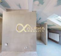 Exkluzívne 3i podkrovný byt s balkónom, 133m2, Zimná ul., Sp. Nová Ves - Podkrovná miestnosť v 3-izbovom byte s oknom a vykurovacím telesom.