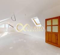 Exkluzívne 3i podkrovný byt s balkónom, 133m2, Zimná ul., Sp. Nová Ves - Podkrovný priestor v 3-izbovom byte s drevenými dverami a strešnými oknami.