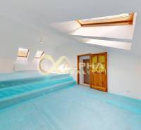 Exkluzívne 3i podkrovný byt s balkónom, 133m2, Zimná ul., Sp. Nová Ves - Svetlá miestnosť s drevenými dverami a strešnými oknami v 3-izbovom byte.