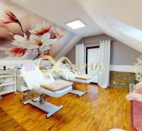 Prenájom priestorov, centrum, Spišská Nová Ves - Interiér kancelárie s kreslami a podlahou s dreveným dekorom, dekoratívna stena s kvetmi.