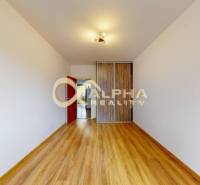 Prenájom: 4 izbový byt s loggiou, sídlisko Mier, Sp.N.Ves - Izba s podlahou s dreveným dekorom a vstavanou skriňou v 4-izbovom byte.