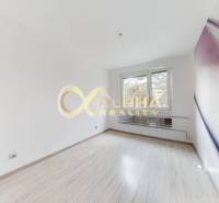 Prenájom: 4 izbový byt s loggiou, sídlisko Mier, Sp.N.Ves - Izba v 4-izbovom byte s podlahou s dreveným dekorom a veľkým oknom.