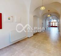 Polyfunkčný priestor na predaj, 66,5m2+pivnica 38m2, Zimná ul., Spišsk - Interiér obchodných priestorov s oblúkovými stropmi a podlahou s dreveným dekorom.