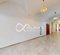 Polyfunkčný priestor na predaj, 66,5m2+pivnica 38m2, Zimná ul., Spišsk - Obchodné priestory s oblúkovitým stropom a svetlou podlahou s dreveným dekorom.