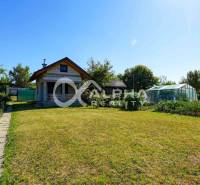 Exkluzívne záhradná chata, sídlisko Tarča, Spišská Nová Ves - Záhrada s chatou a skleníkom v Spišskej Novej Vsi na slnkom zaliatom pozemku.