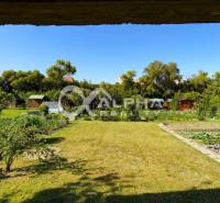 Exkluzívne záhradná chata, sídlisko Tarča, Spišská Nová Ves - Záhrada pri chate v Spišskej Novej Vsi s trávnikom a pestovanými záhonmi.