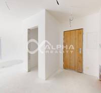 EXKLUZÍVNE 3i byt 128,53m2 s terasou, parkovaním, Nov. Huta - V 3-izbovom byte prerobená vstupná hala s drevenými dverami, biele steny.