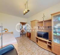 EXKLUZÍVNE 5i byt s loggiou, sídl. Západ, Spišská Nová Ves - Izba v 5 a viac izbovom byte s nábytkom a televízorom, dekoratívne osvetlenie.