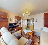 EXKLUZÍVNE 5i byt s loggiou, sídl. Západ, Spišská Nová Ves - Obývačka v 5 a viac izbovom byte s podlahou s dreveným dekorom a nábytkom.