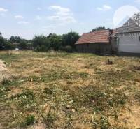 Vám ponúka na PREDAJ pozemok v obci Čalovec 11  - Pozemky na bývanie na ulici Čalovec v Čalovci, priestranné, pripravené na stavbu.