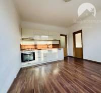 Vám ponúka 1 izbový byt vo VYHĽADÁVANEJ lokali - Interiér 1-izbového bytu s kuchyňou a podlahou s dreveným dekorom.