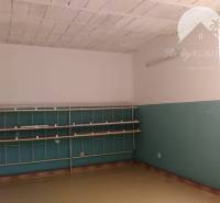 Exkluzívne iba u nás Vám ponúka na prenájom pr - Izba v skladoch a halách s jednoduchými policami a oknom.