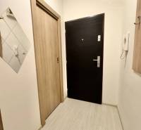 Vám ponúka garsonku vo VYHĽADÁVANEJ lokalite m - Chodba v Rekreačnom apartmáne s podlahou s dreveným dekorom a bezpečnostnými dverami.