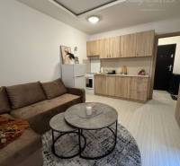 Vám ponúka garsonku vo VYHĽADÁVANEJ lokalite m - Obývací priestor s podlahou s dreveným dekorom v Rekreačnom apartmáne, útulná pohovka a konferenčný stolík.