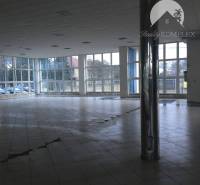 Vám ponúka do PRENÁJMU priestranné a slnečné ob - Priestranné obchodné priestory s veľkými oknami a stĺpom, vhodné na rôzne účely.