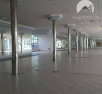 Vám ponúka do PRENÁJMU priestranné a slnečné ob - Priestranné obchodné priestory s dlažbou a zrkadlami na stĺpoch, Reality Komplex.