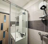 Vám ponúka exkluzívne na predaj moderný, komple - Kúpeľňa v 1-izbovom byte s moderným sprchovým kútom a umývadlom.