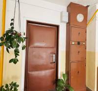 Vám ponúka exkluzívne na predaj moderný, komple - Vstup do 1-izbového bytu s hnedými dverami, kvetmi a elektrickou skriňou v chodbe.