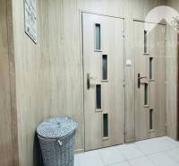 Vám ponúka exkluzívne na predaj moderný, komple - Vstupná chodba v 1-izbovom byte s drevenými dverami a prúteným košíkom.