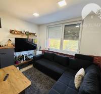 Vám ponúka exkluzívne na predaj moderný, komple - Obývacia izba s tmavou sedačkou, televízorom na stene a veľkým oknom.