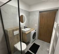 Vám ponúka na Prenájom 2-izbový byt s loggiou  - Kúpeľňa v 2-izbovom byte s toaletou, práčkou a sprchovacím kútom s jednoduchým dizajnom.