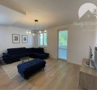 Vám ponúka na Prenájom 2-izbový byt s loggiou  - Obývačka v 2-izbovom byte s tmavou sedačkou, podlahou s dreveným dekorom a dekoráciami.