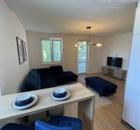 Vám ponúka na Prenájom 2-izbový byt s loggiou  - Obývačka v 2-izbovom byte s podlahou s dreveným dekorom a modrým nábytkom.