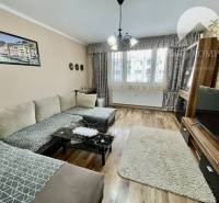 Vám ponúka 3-izbový byt s loggiou po kompletnej - Obývacia izba v 3-izbovom byte, so sedačkou, koberec, televízorom a podlahou s dreveným dekorom.