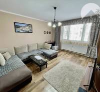 Vám ponúka 3-izbový byt s loggiou po kompletnej - Obývačka 3-izbového bytu so sedačkou a podlahou s dreveným dekorom.