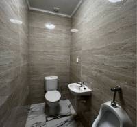 Vám ponúka na PREDAJ kompletne zrekonštruovaný  - Kúpeľňa v rodinnom dome s toaletou a pisoárom, dekoratívne steny a podlaha s dreveným dekorom.