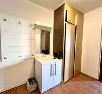 Ponúka na PREDAJ 1 izbový byt v Komárne - V 1-izbovom byte sa nachádza podlaha s dreveným dekorom, vešiaky a skrinky.