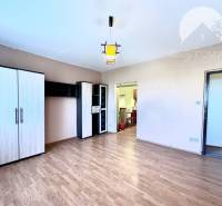 Ponúka na PREDAJ 1 izbový byt v Komárne - Šatníková skriňa a podlaha s dreveným dekorom v 1-izbovom byte.