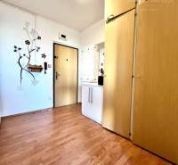 Ponúka na PREDAJ 1 izbový byt v Komárne - Interiér 1-izbového bytu s podlahou s dreveným dekorom a vstavanou skriňou.