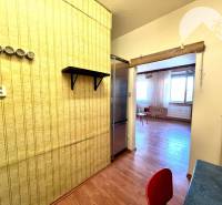 Ponúka na PREDAJ 1 izbový byt v Komárne - V 1-izbovom byte je podlaha s dreveným dekorom a stenová polica.