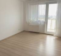 Exkluzívne v našej RK 3 izbový byt po rekonštrukcii s dvomi loggiami - Izba v 3-izbovom byte s podlahou s dreveným dekorom a balkónovými dverami.