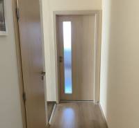 Exkluzívne v našej RK 3 izbový byt po rekonštrukcii s dvomi loggiami - Chodba v 3-izbovom byte s podlahou s dreveným dekorom a svetlými dverami.