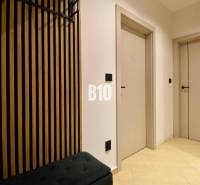 Veľkometrážny 3 izbový byt s garážou - Interiérová chodba s drevodekorom, dvomi dverami a podlahou s svetlým obkladom.