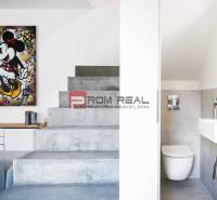 Na predaj 3 izbový dvojpodlažný byt Ivanka pri Dunaji - Schodisko z betónu, umývadlo a WC v 3-izbovom byte s umeleckou maľbou.