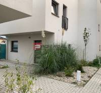 Na predaj 3 izbový dvojpodlažný byt Ivanka pri Dunaji - Vchod do 3-izbového bytu na ulici Pekná, Ivanka pri Dunaji, obklopujú okrasné rastliny.